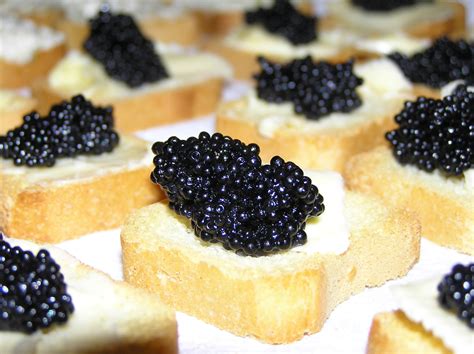 CAVIAR .